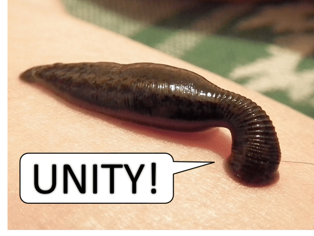 Unity Leech